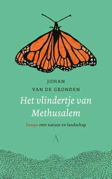 Vlindertje cover